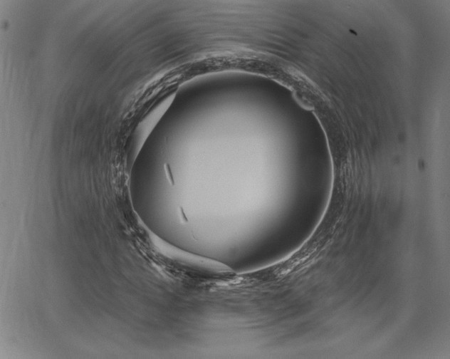 X0000068260822200604211042