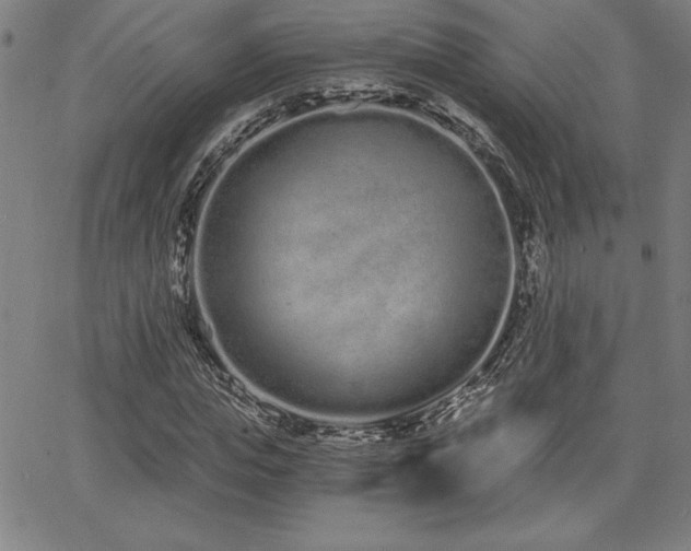 X0000068260823200604211042