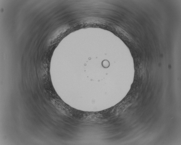 X0000068260824200604211042