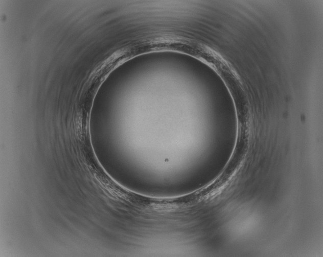 X0000068260825200604211042