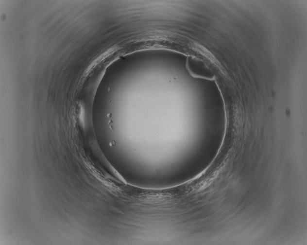 X0000068260826200604211042