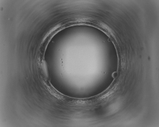 X0000068260827200604211042