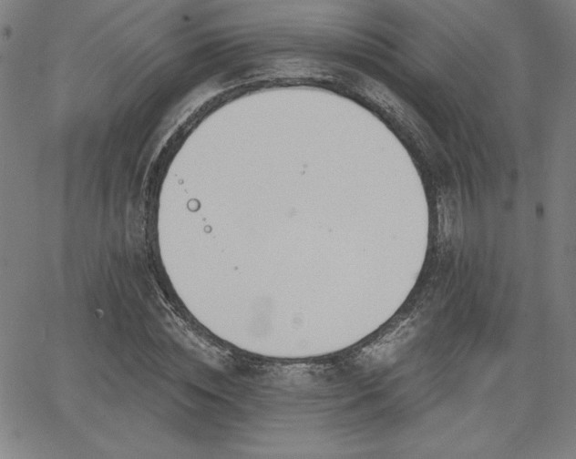 X0000068260828200604211042