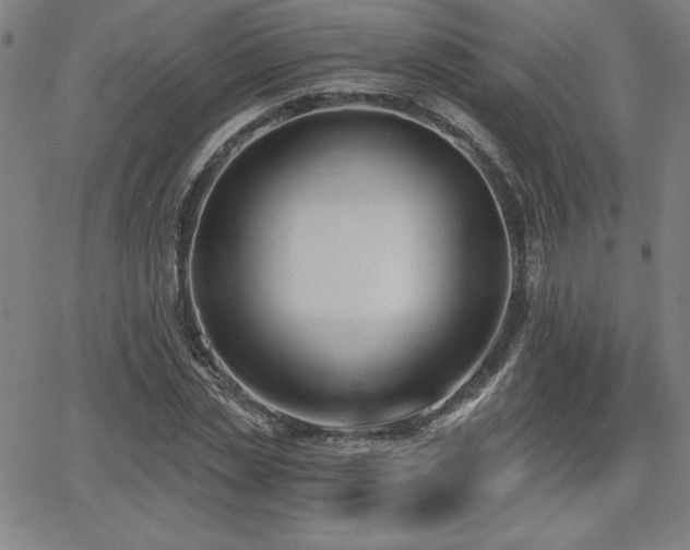 X0000068260829200604211042