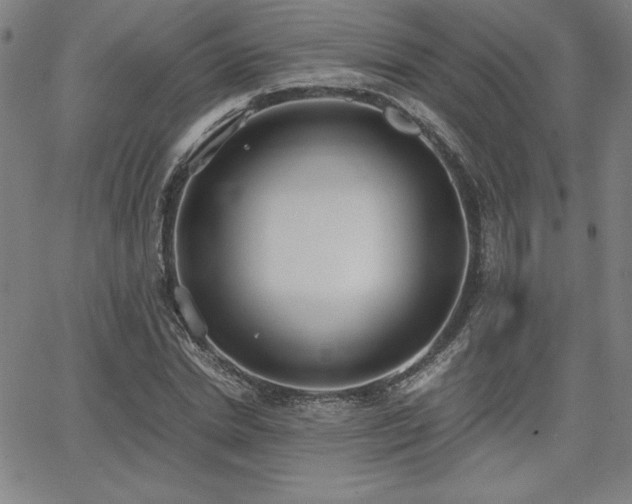 X0000068260830200604211042