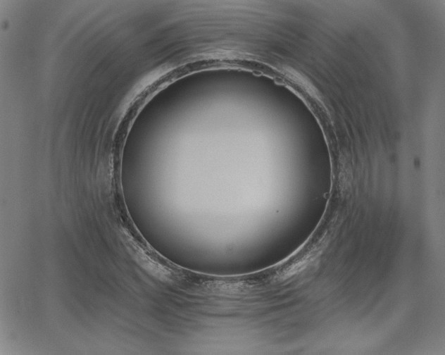 X0000068260831200604211042