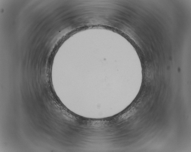 X0000068260832200604211042