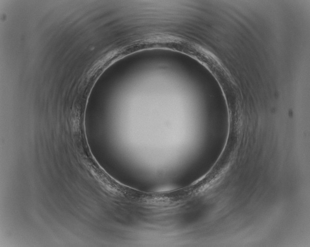 X0000068260833200604211042