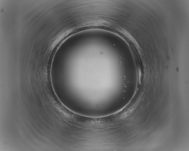 X0000068260834200604211042