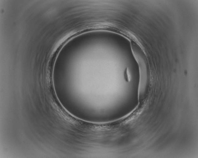 X0000068260835200604211042