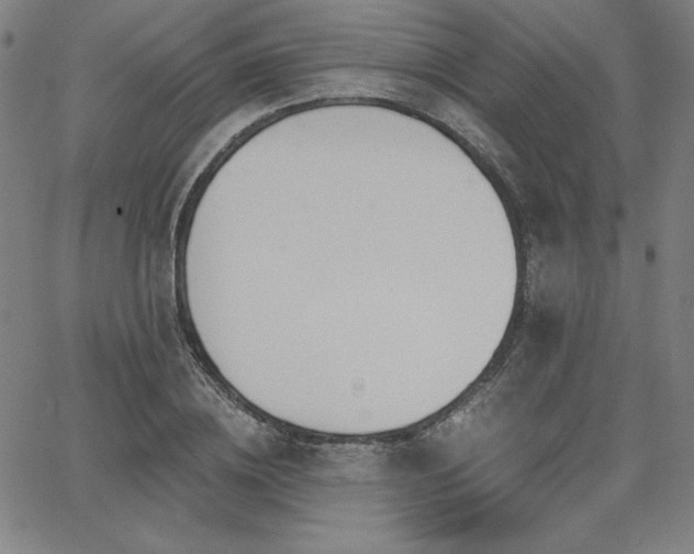 X0000068260836200604211042