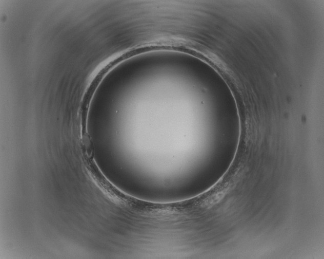 X0000068260838200604211042