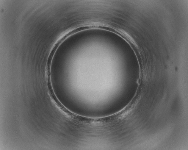 X0000068260839200604211042