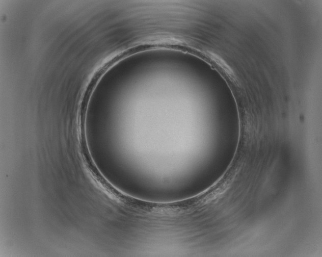 X0000068260840200604211042