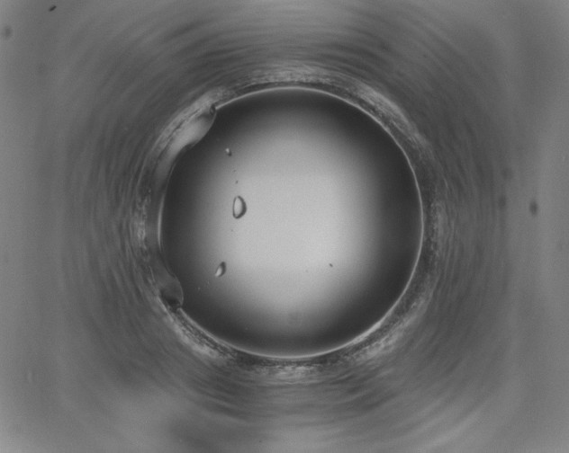 X0000068260841200604211042