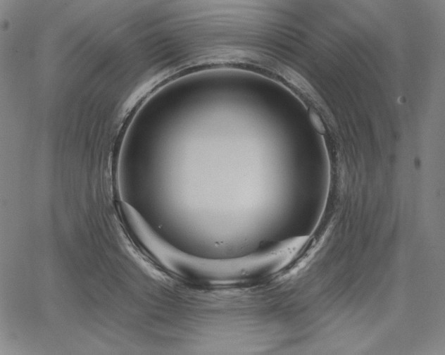 X0000068260842200604211042