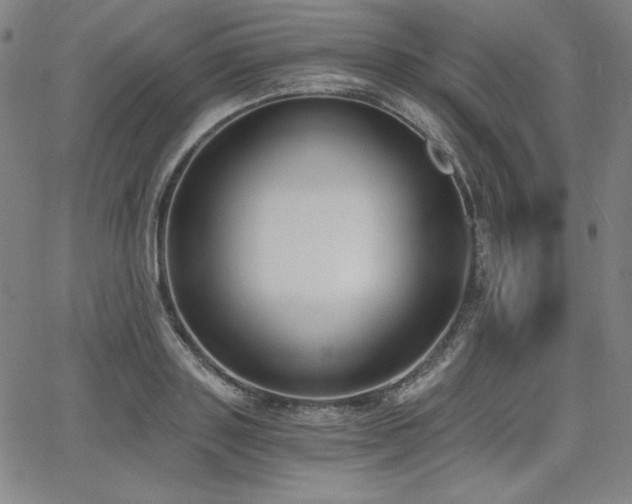 X0000068260843200604211042