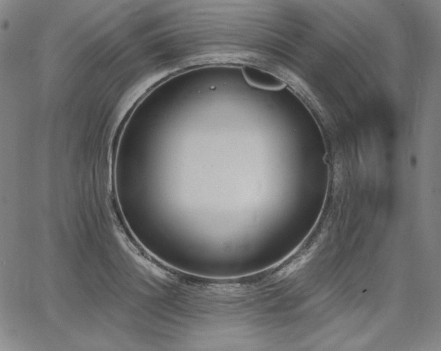 X0000068260844200604211042