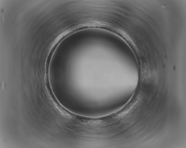 X0000068260845200604211042