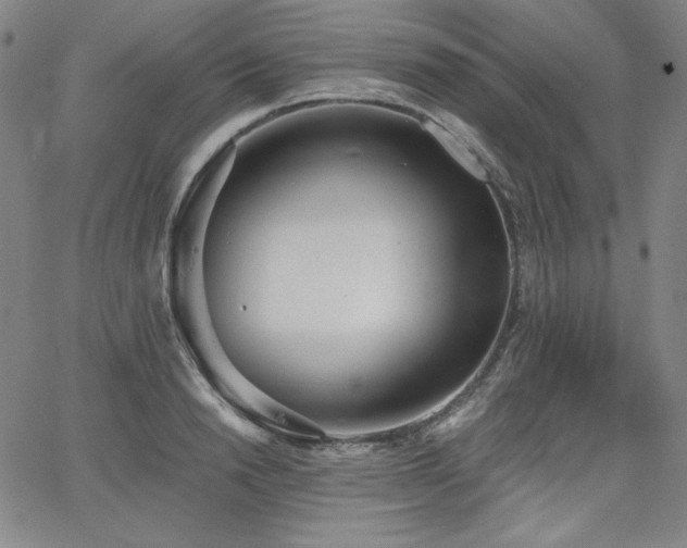 X0000068260846200604211042