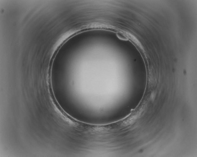 X0000068260847200604211042