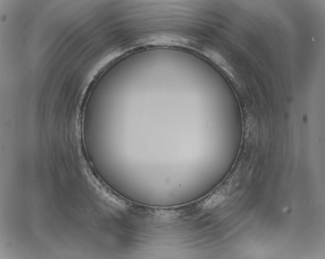 X0000068260848200604211042