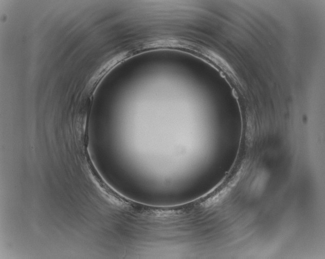 X0000068260849200604211042