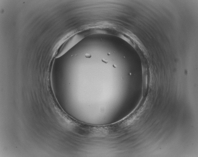 X0000068260850200604211042