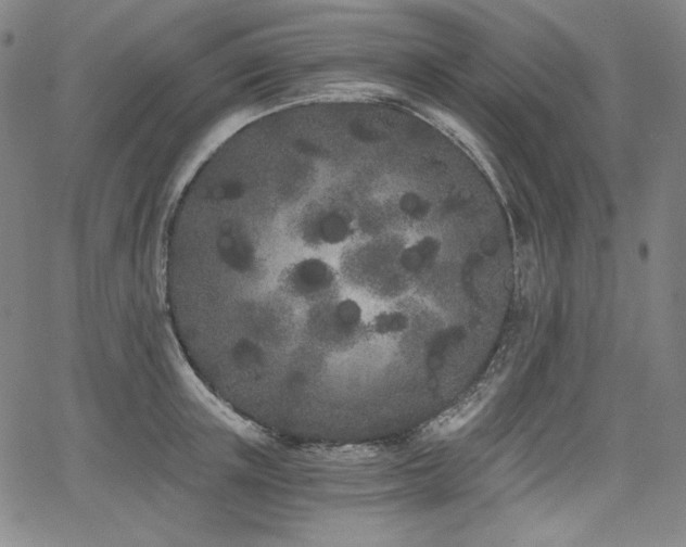 X0000068260851200604211042