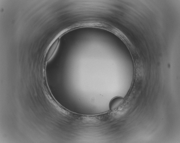 X0000068260852200604211042