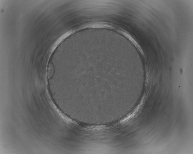 X0000068260853200604211042