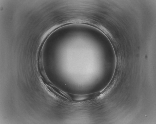 X0000068260854200604211042