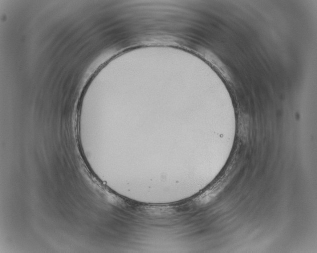 X0000068260856200604211043