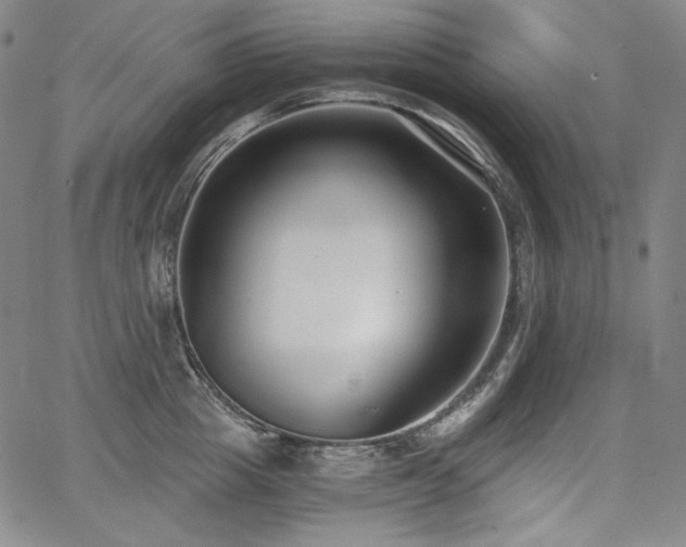 X0000068260857200604211043