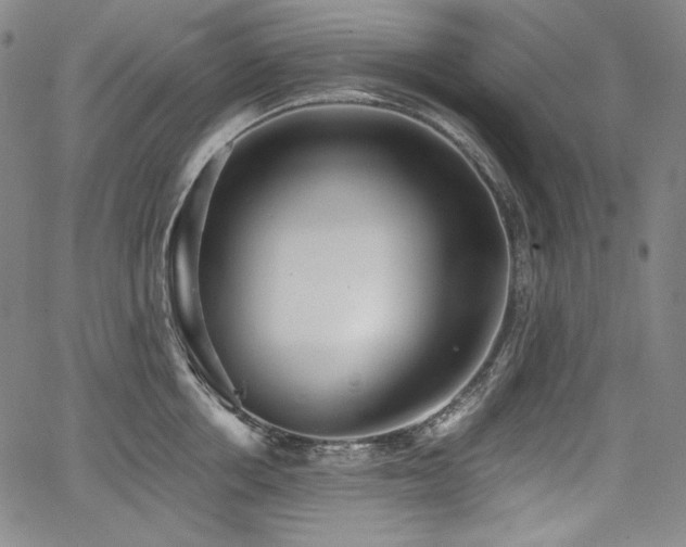 X0000068260858200604211043