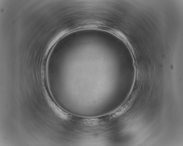 X0000068260859200604211043