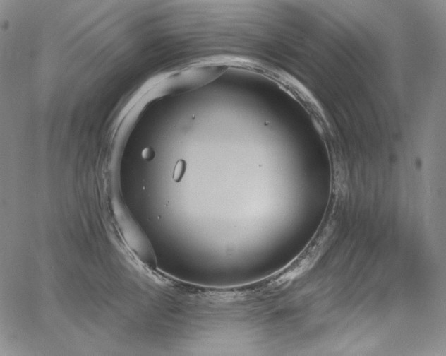 X0000068260860200604211043