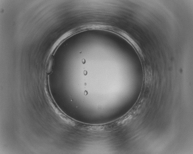 X0000068260861200604211043