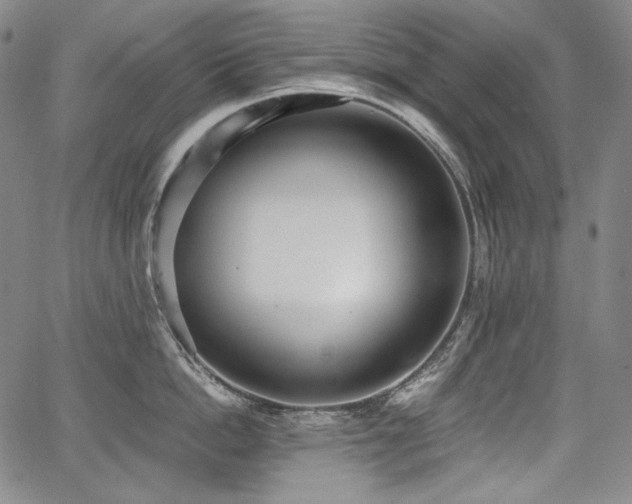 X0000068260862200604211043