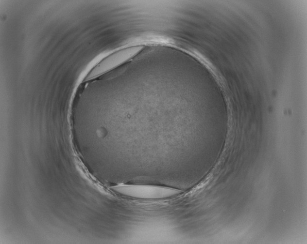 X0000068260864200604211043