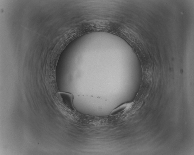 X0000068260865200604211042