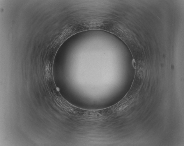 X0000068260866200604211042