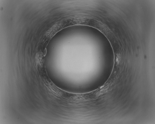 X0000068260867200604211042