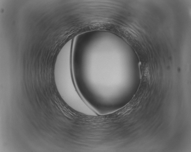 X0000068260868200604211042