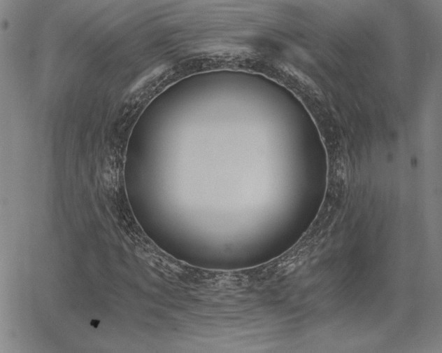 X0000068260869200604211042