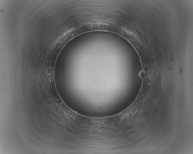 X0000068260870200604211042