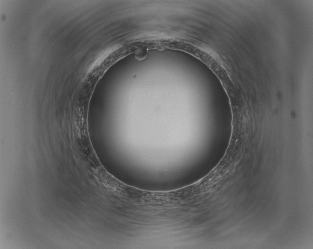 X0000068260871200604211042