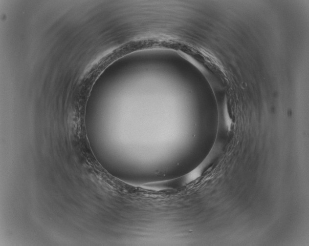 X0000068260872200604211042