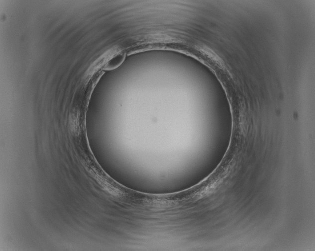 X0000068260873200604211042