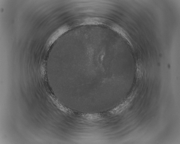 X0000068260874200604211042